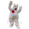 Bear mascot costume