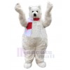 Bear mascot costume