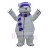 Bear mascot costume