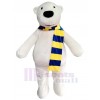 Bear mascot costume