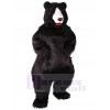 Bear mascot costume