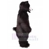 Bear mascot costume