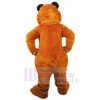 Bear mascot costume