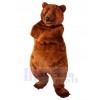 Bear mascot costume