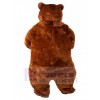 Bear mascot costume