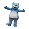 Bear mascot costume