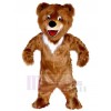 Bear mascot costume