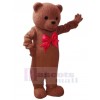 Bear mascot costume