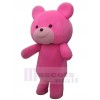 Bear mascot costume