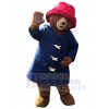 Bear mascot costume