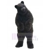 Bear mascot costume