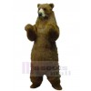 Bear mascot costume