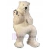 Bear mascot costume