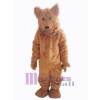 Bear mascot costume