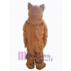 Bear mascot costume