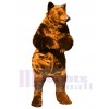 Bear mascot costume