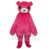 Bear mascot costume