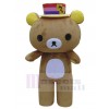 Bear mascot costume