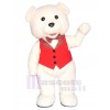 Bear mascot costume