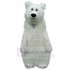 Bear mascot costume