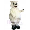 Bear mascot costume