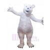 Bear mascot costume