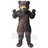 Bear mascot costume