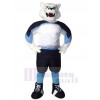 Bear mascot costume