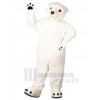 Bear mascot costume