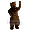 Bear mascot costume