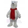 Bear mascot costume