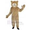 Bear mascot costume