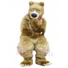 Bear mascot costume