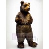 Bear mascot costume