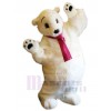 Bear mascot costume