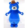 Bear mascot costume