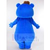 Bear mascot costume