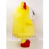 Bear mascot costume