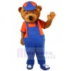 Bear mascot costume