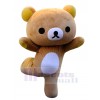 Bear mascot costume