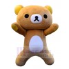 Bear mascot costume