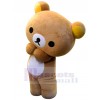 Bear mascot costume