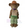 Bear mascot costume