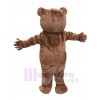 Bear mascot costume