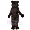 Bear mascot costume