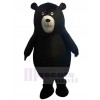 Bear mascot costume