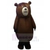 Bear mascot costume