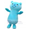 Bear mascot costume