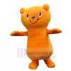 Bear mascot costume