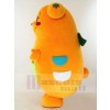 Bear mascot costume